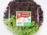 Tropical empaque Hidro